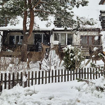 Apartament Wokół Stołu Zakopane Exterior foto